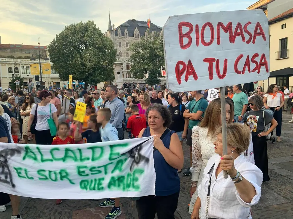 biomasa (16)