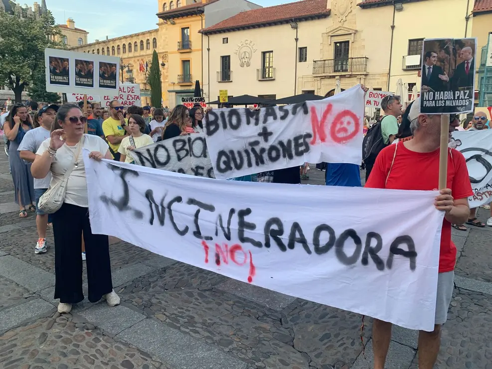 biomasa (19)