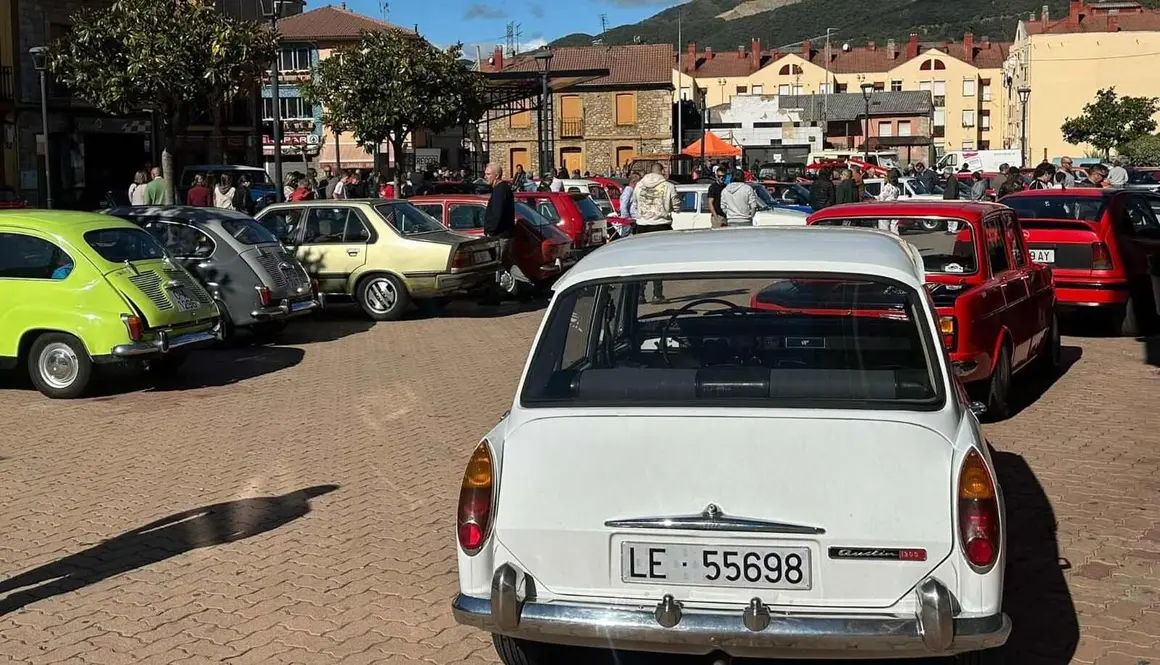 Coches clásicos (8)