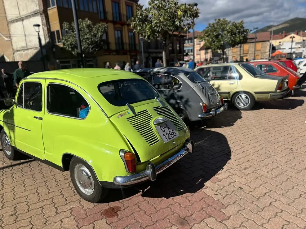 Coches clásicos (10)