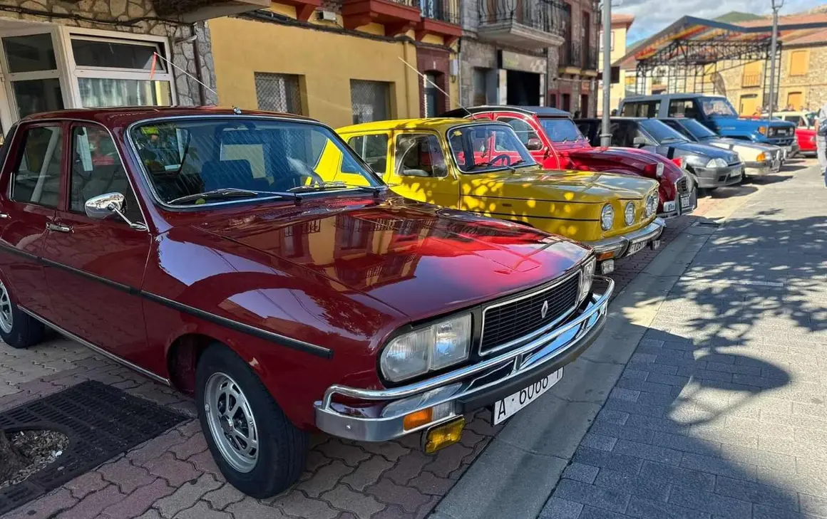 Coches clásicos (9)