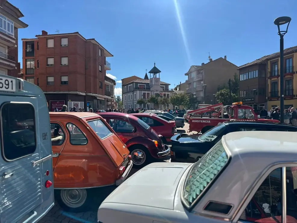 Coches clásicos (12)