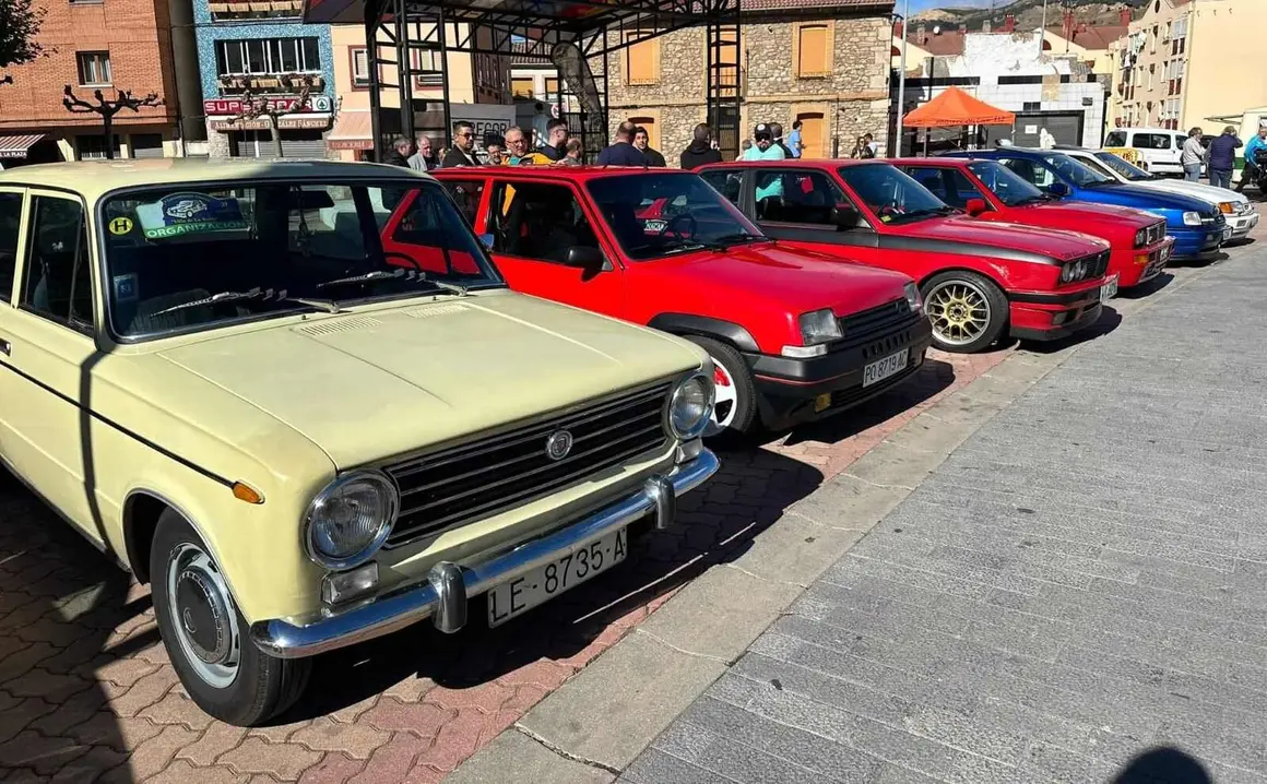 Coches clásicos (14)