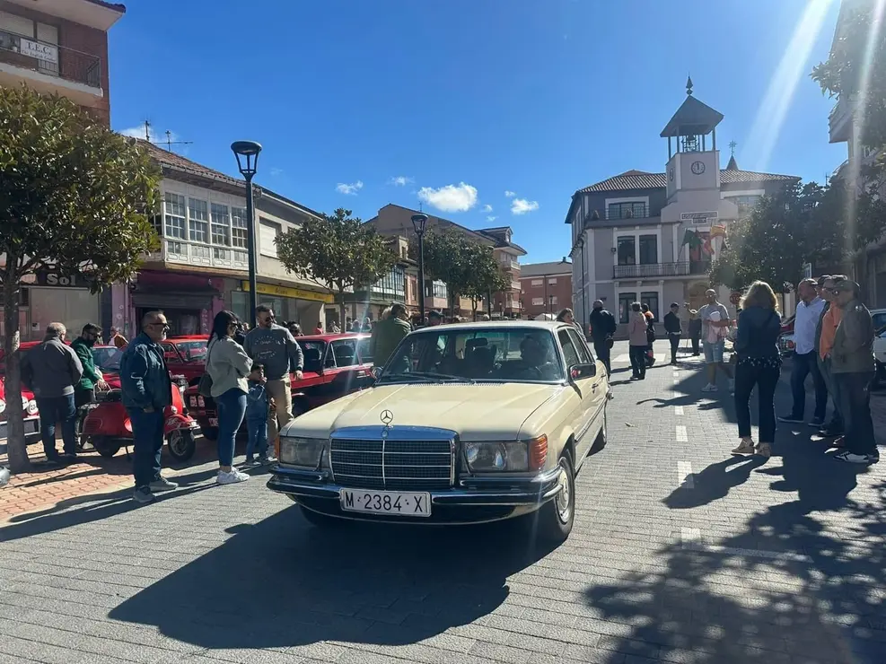Coches clásicos (18)