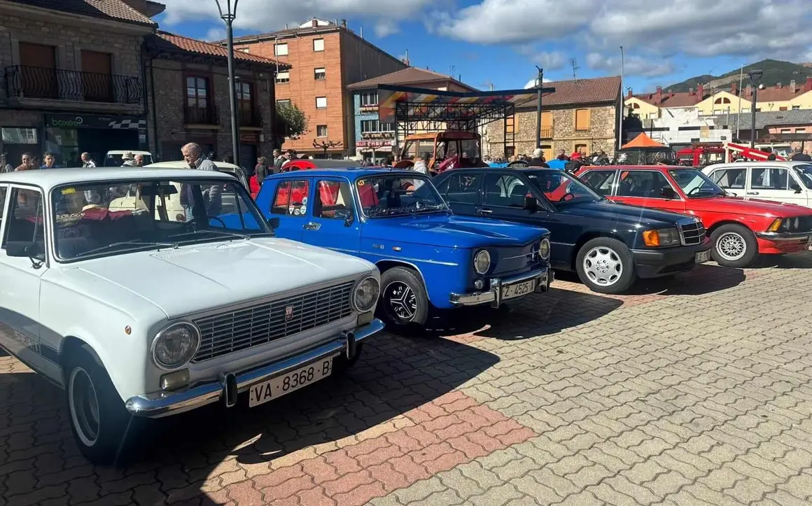 Coches clásicos (19)