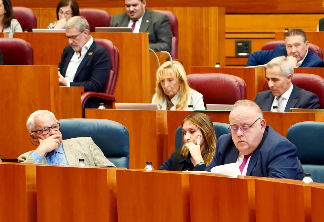 pleno Cortes  (4)