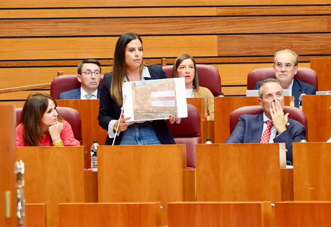 Nuria Rubio, durante su intervención en el Pleno de las Cortes.
