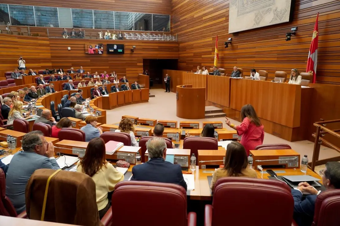 pleno Cortes  (7)