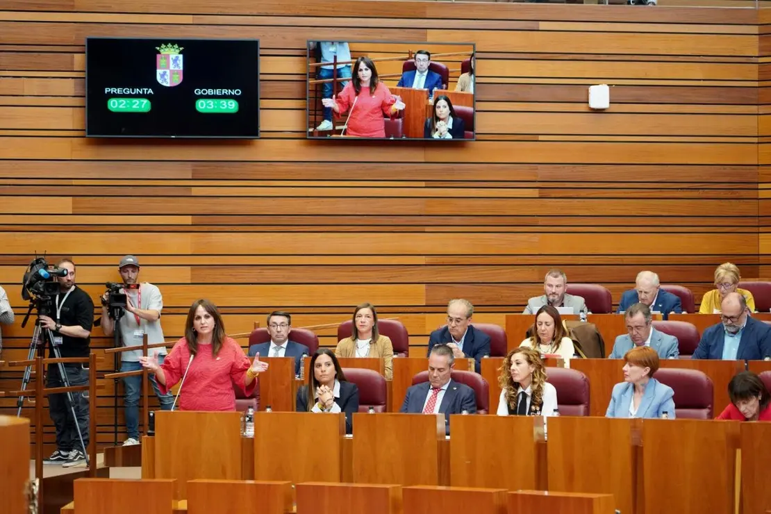 pleno Cortes  (8)