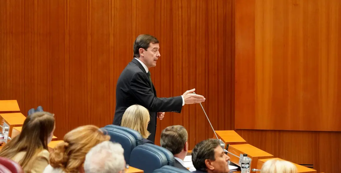 pleno Cortes  (9)