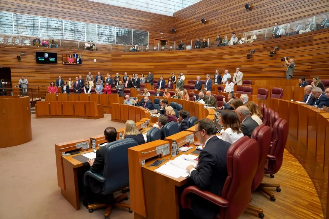 pleno Cortes  (10)