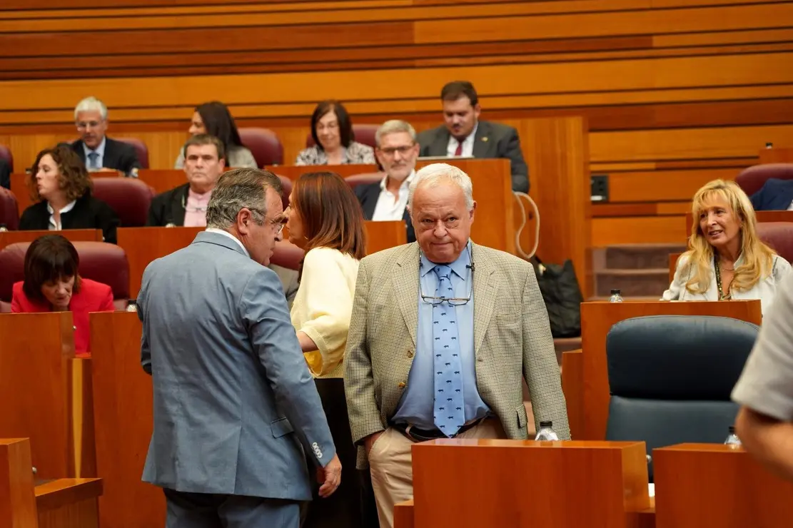pleno Cortes  (11)