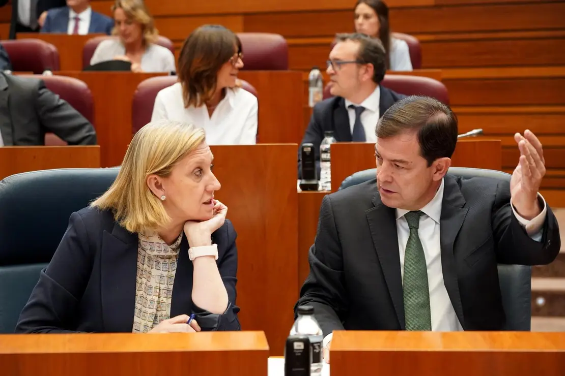 pleno Cortes  (12)