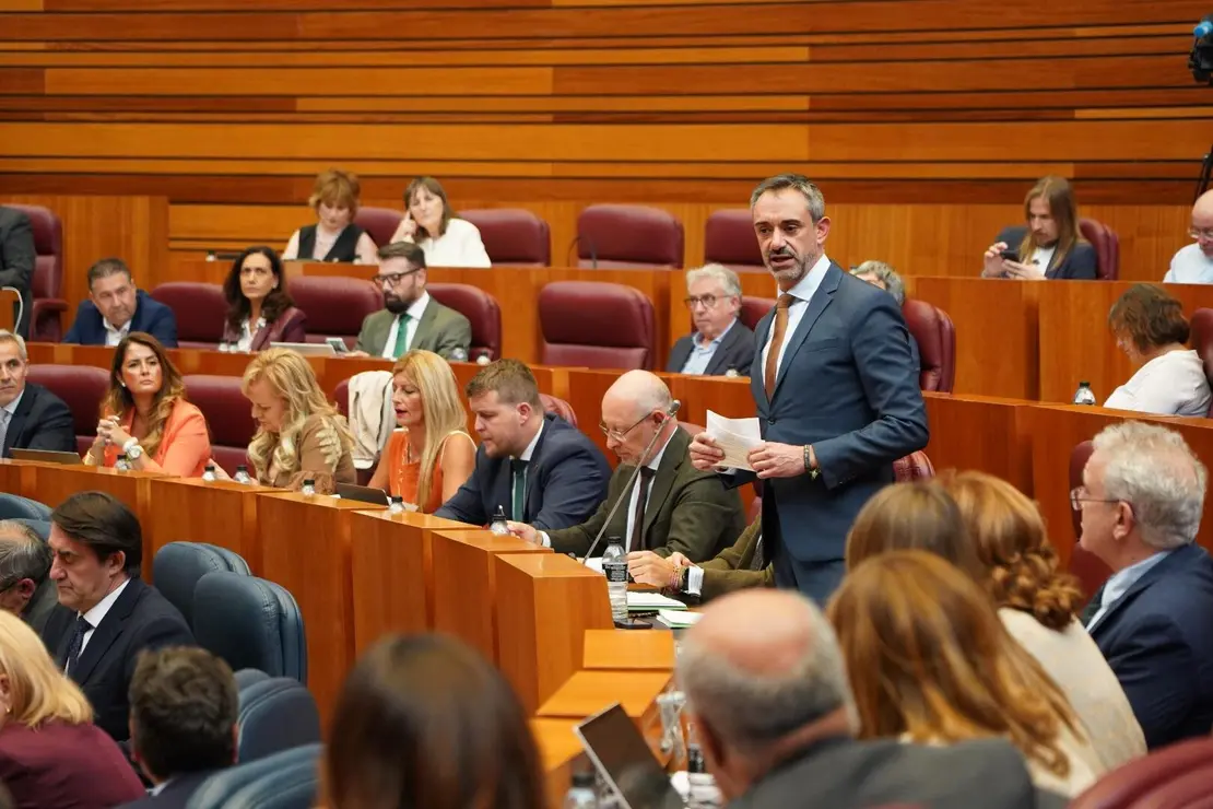 pleno Cortes  (13)