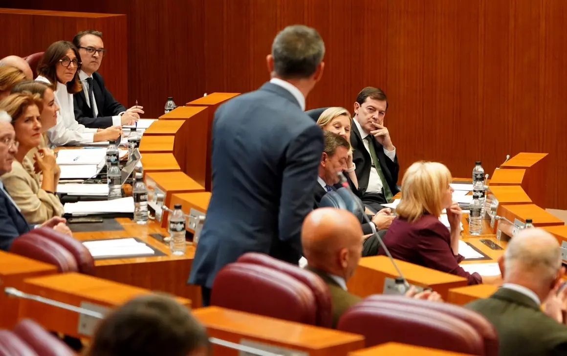pleno Cortes  (15)