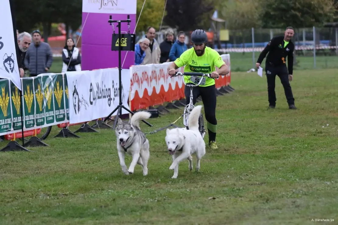 mushing coyanza (2)