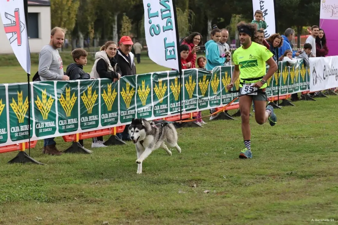 mushing coyanza (3)