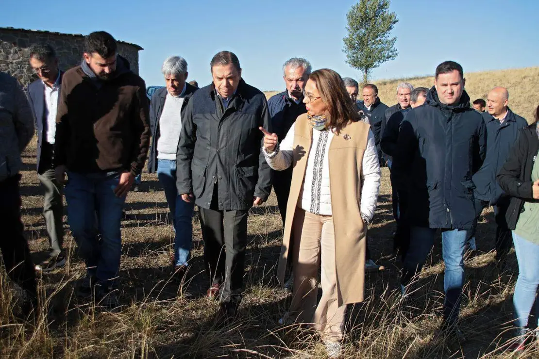 Planas en León (14)