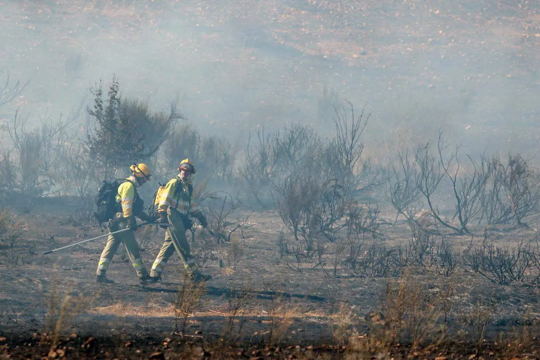 Una veintena de medios trabajan para intentar sofocar el incendio declarado en las cercanías de Villasinta de Torío, en el municipio de Villaquilambre, que ha alcanzado el nivel 2. Fotos: Peio García