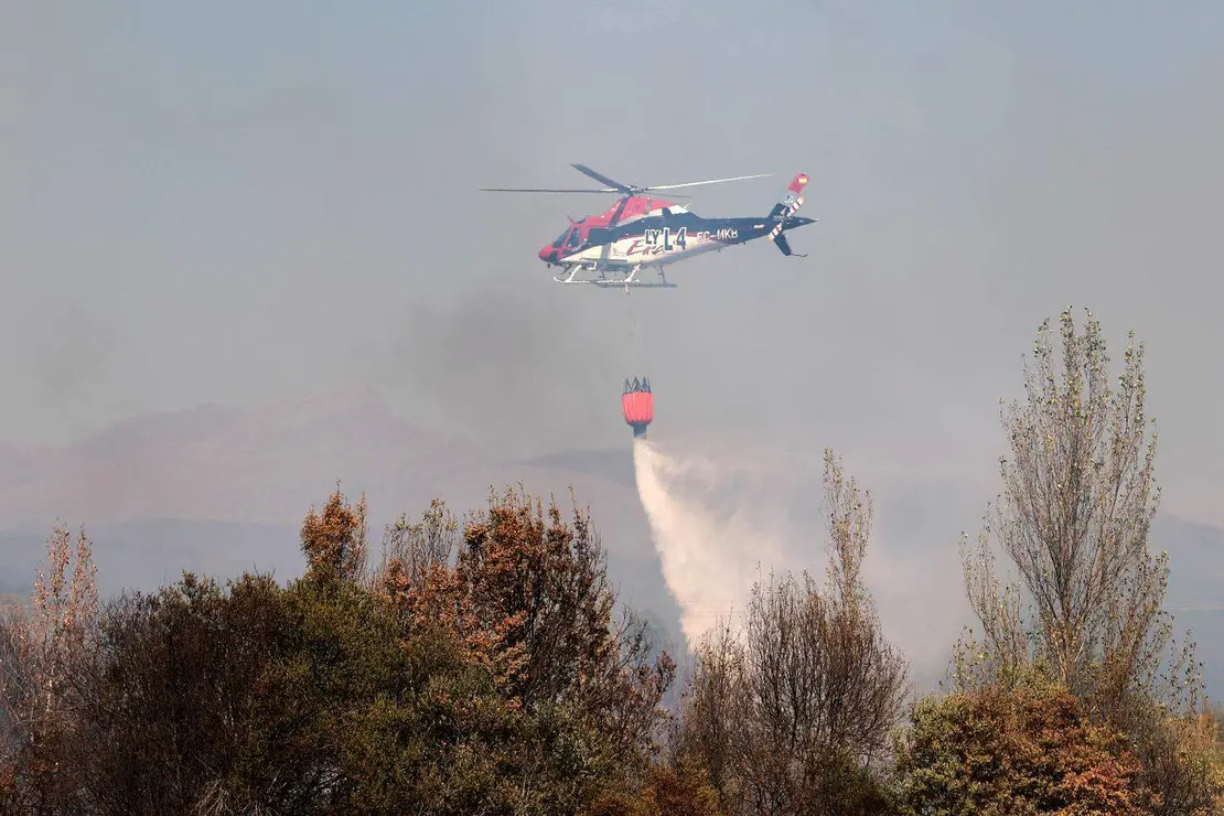 Incendio forestal (3)