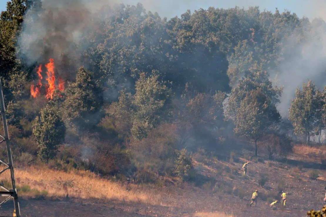 Incendio forestal (4)
