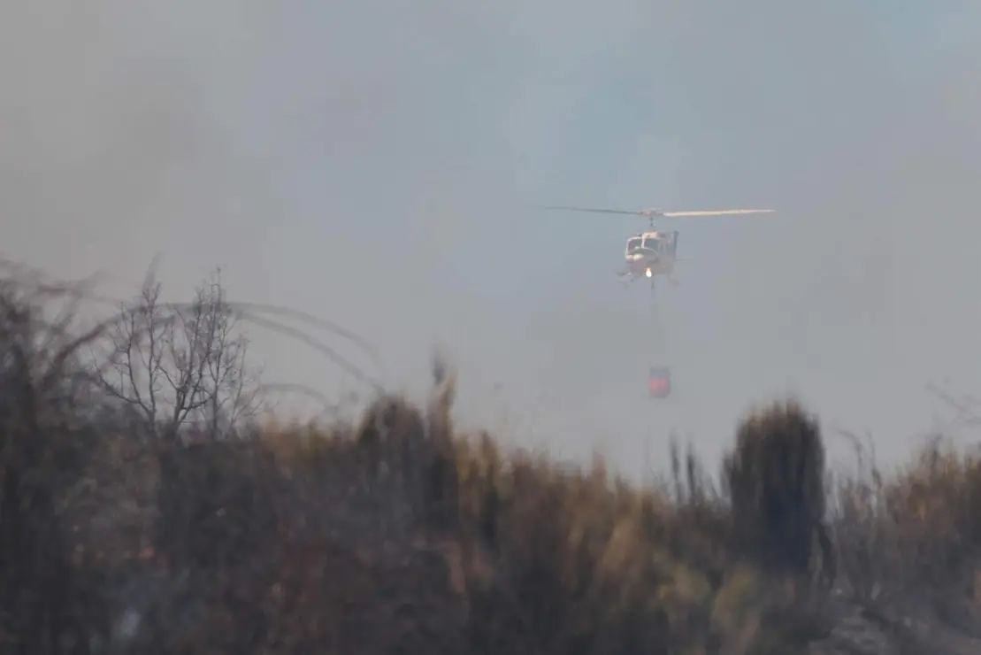 Incendio forestal (6)