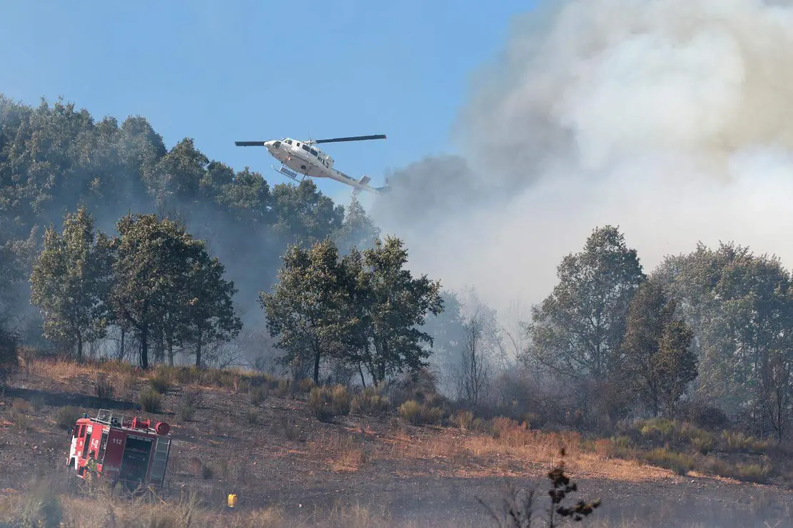 Incendio forestal (8)