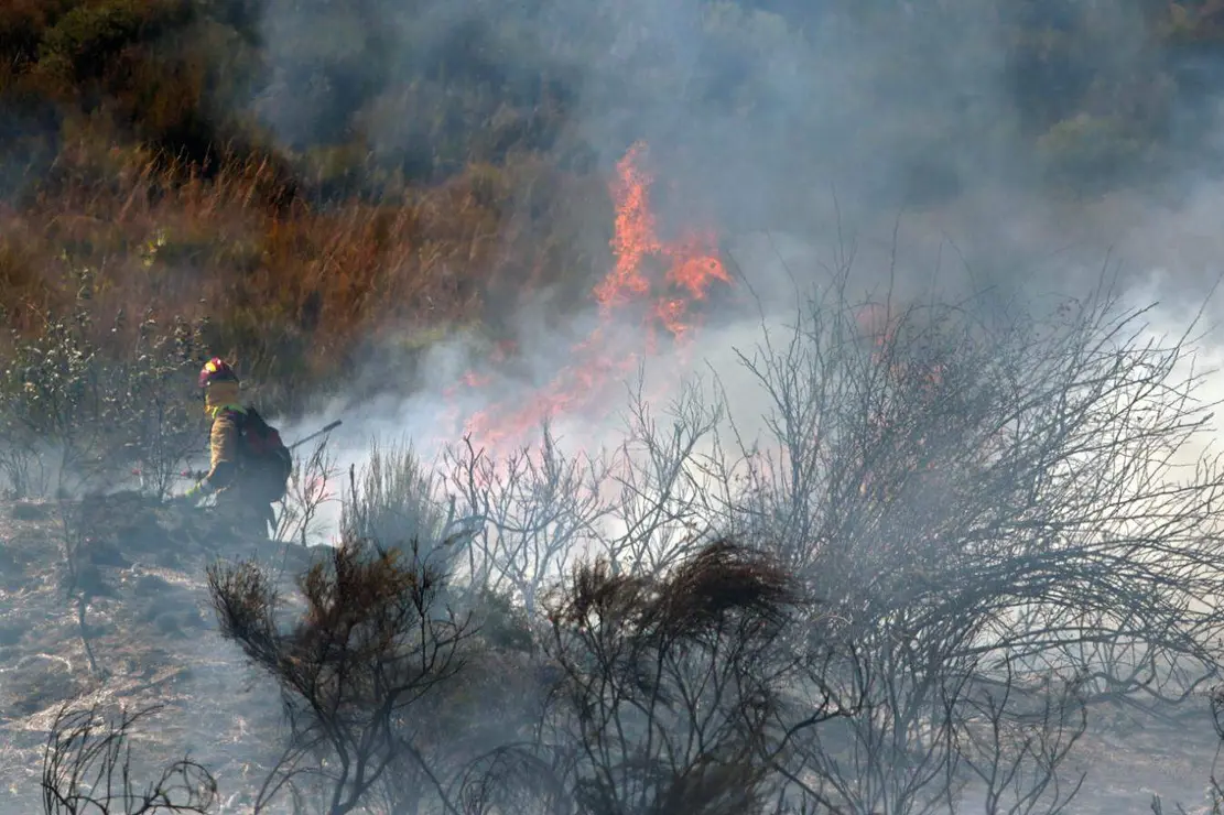 Incendio forestal (9)