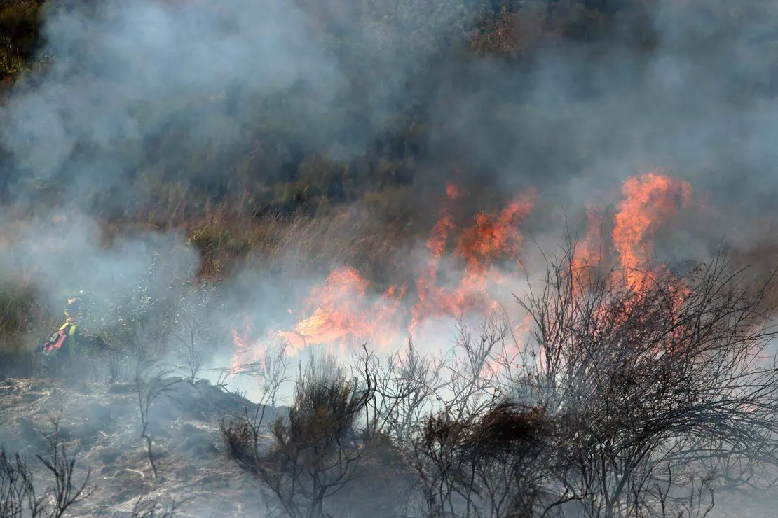 Incendio forestal (10)
