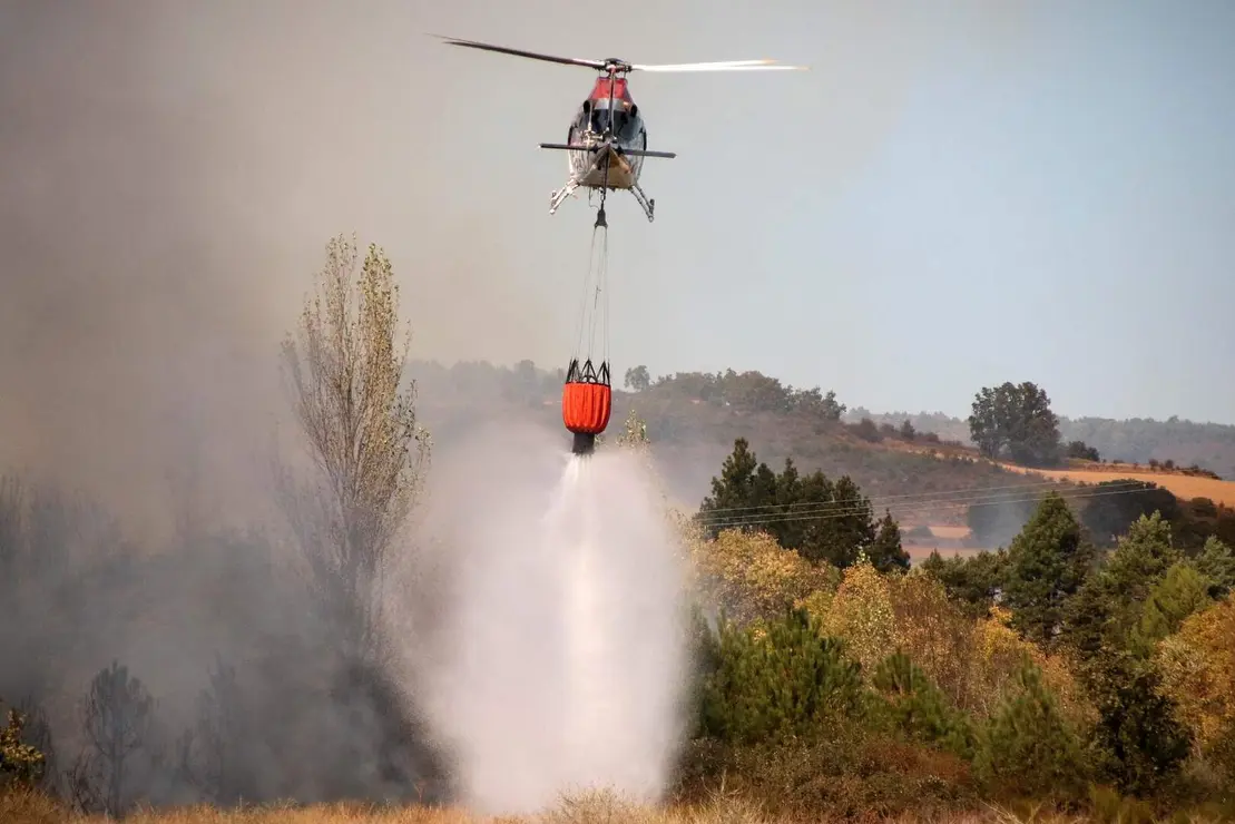 Incendio forestal (15)