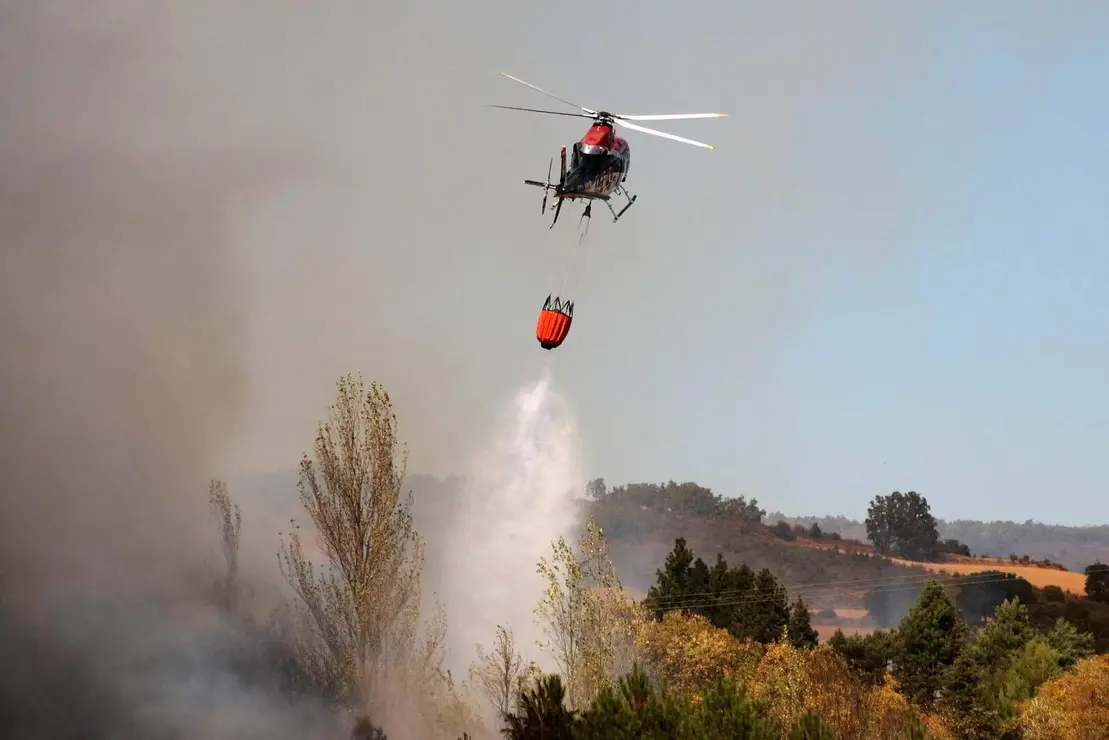 Incendio forestal (16)