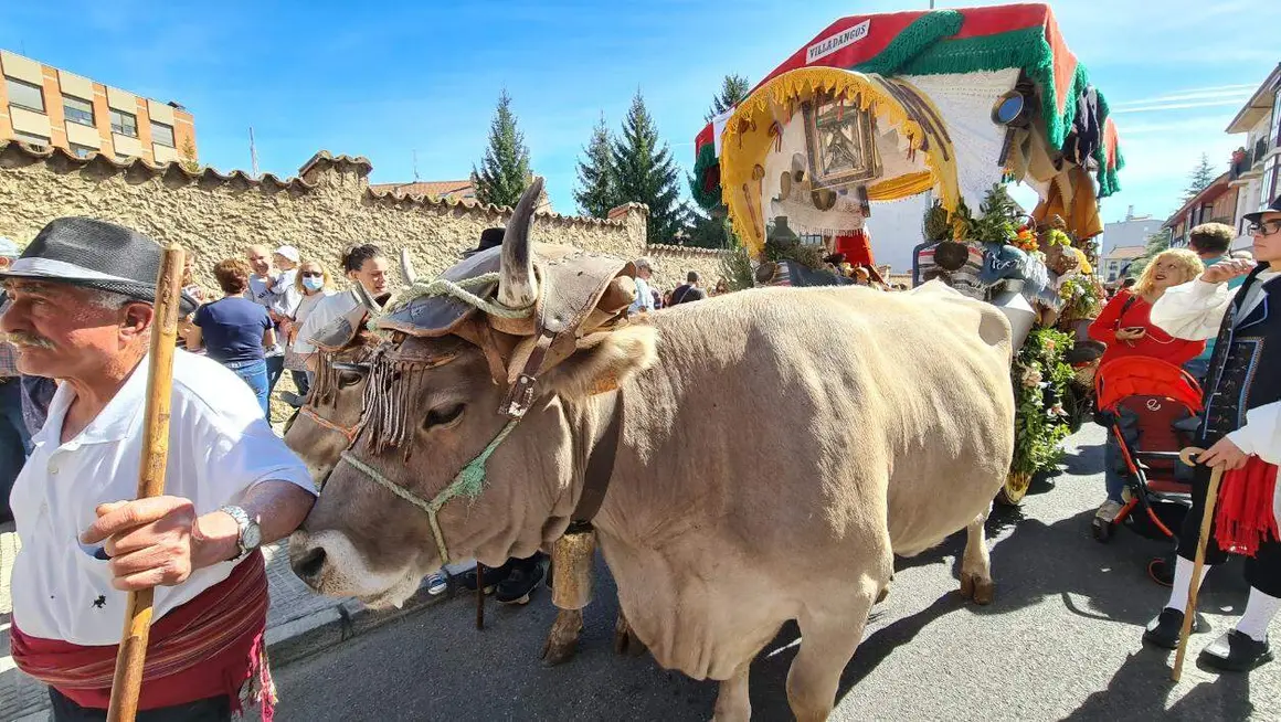 San Froilán (12)