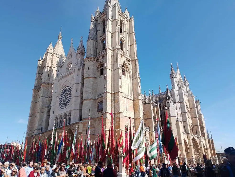 pendones 2025 (7)