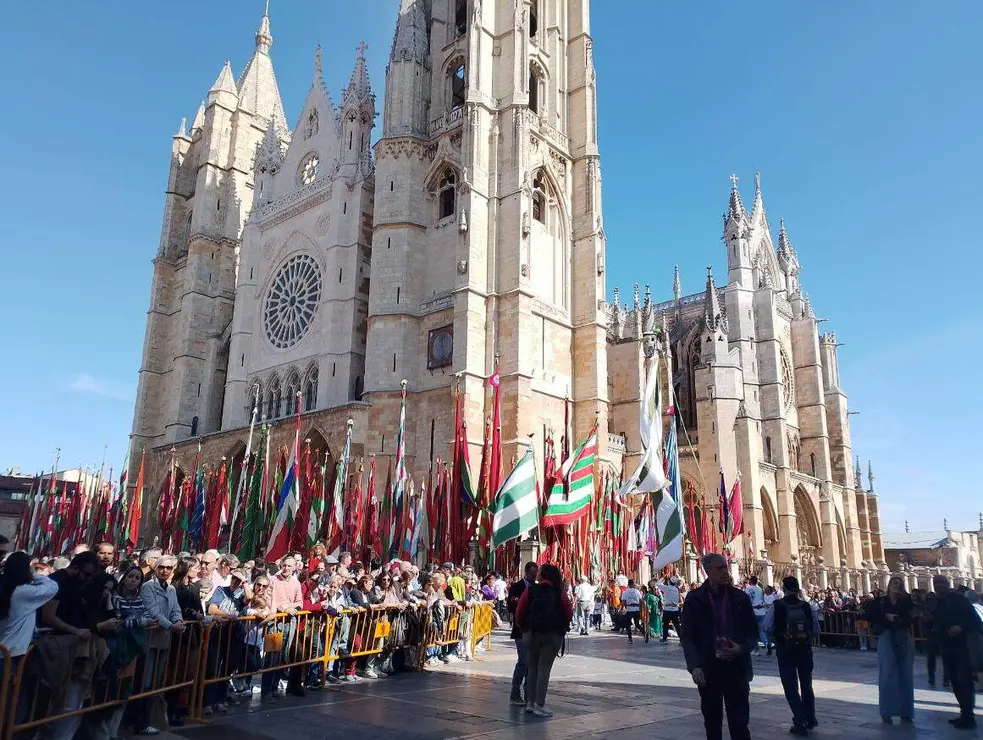 pendones 2025 (9)