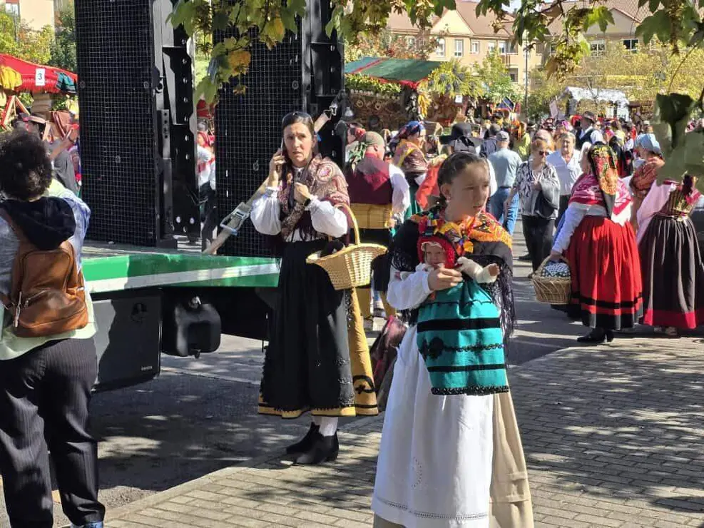 carros engalanados 2025 carlos calvo (2)