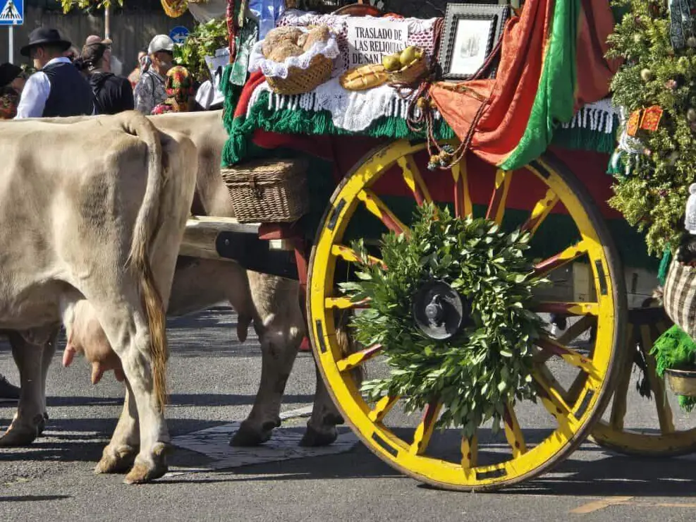 carros engalanados 2025 carlos calvo (5)