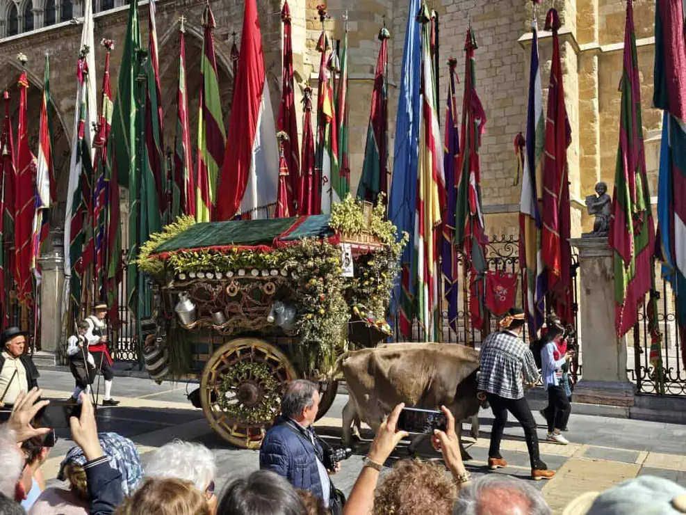 carros carlos calvo 2025 (10)