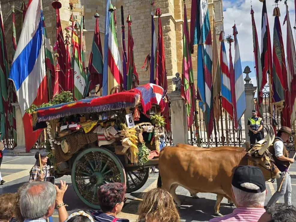 carros carlos calvo 2025 (2)