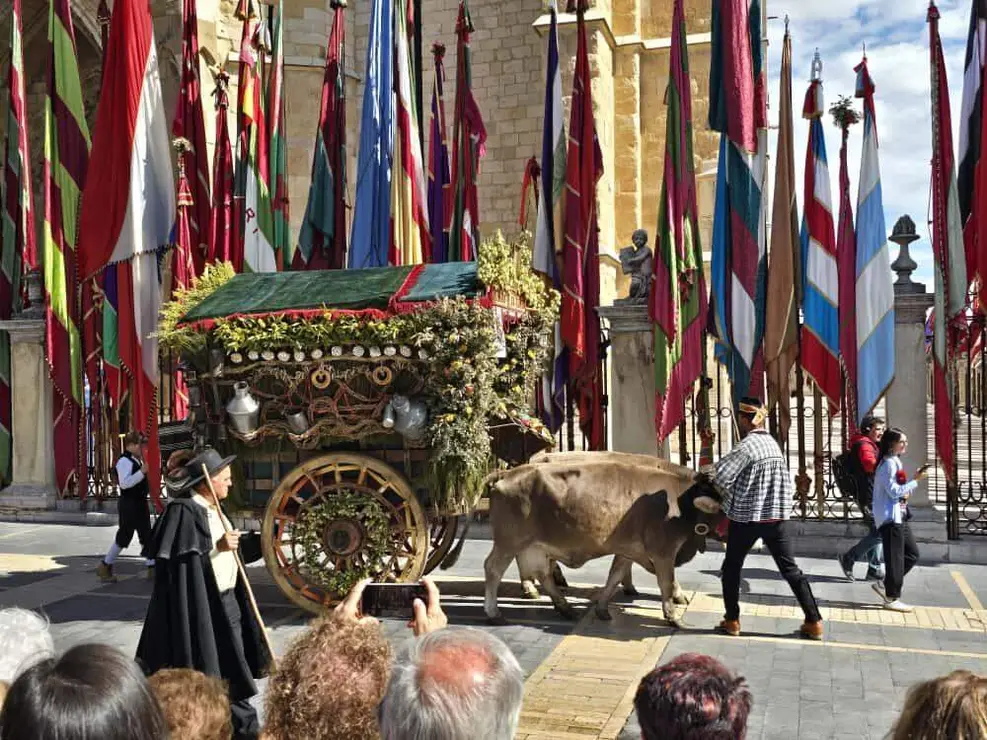 carros carlos calvo 2025 (7)