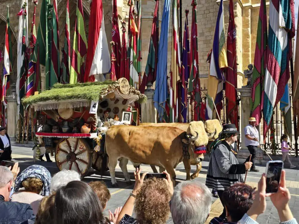 carros carlos calvo 2025 (8)