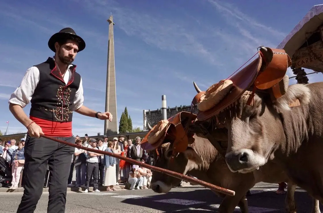 Romería de San Froilán