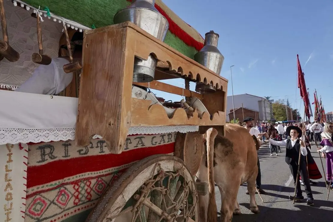 Romería de San Froilán