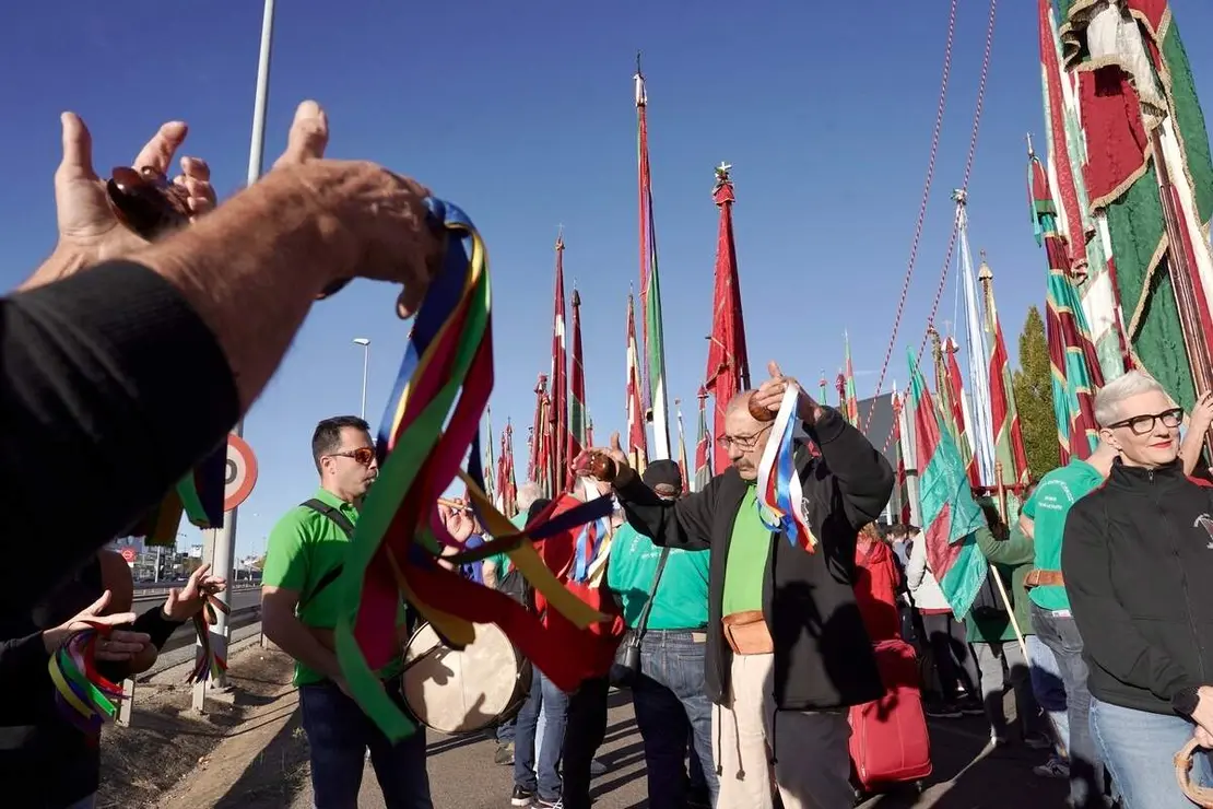 Romería de San Froilán
