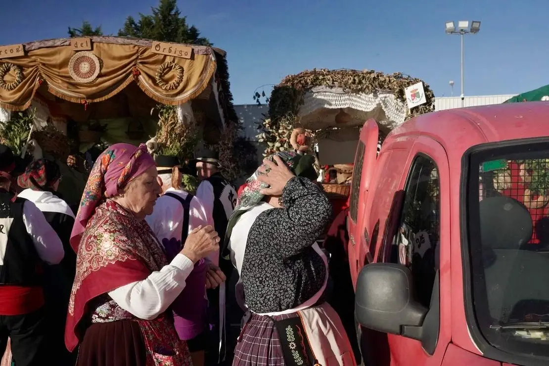Romería de San Froilán