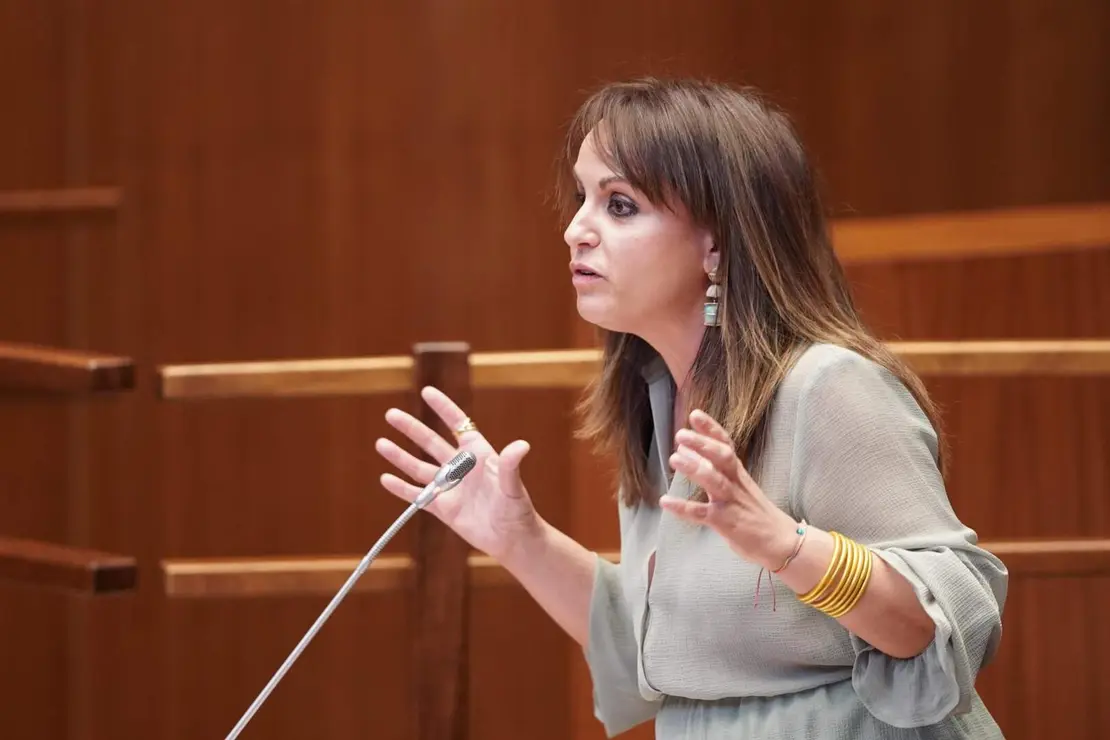 Pleno Cortes de Castilla y León (2)