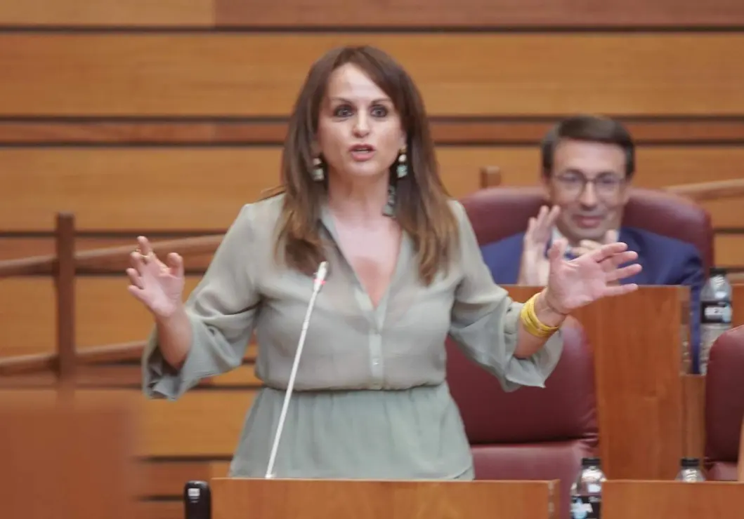Un instante del pleno de las Cortes de este martes.