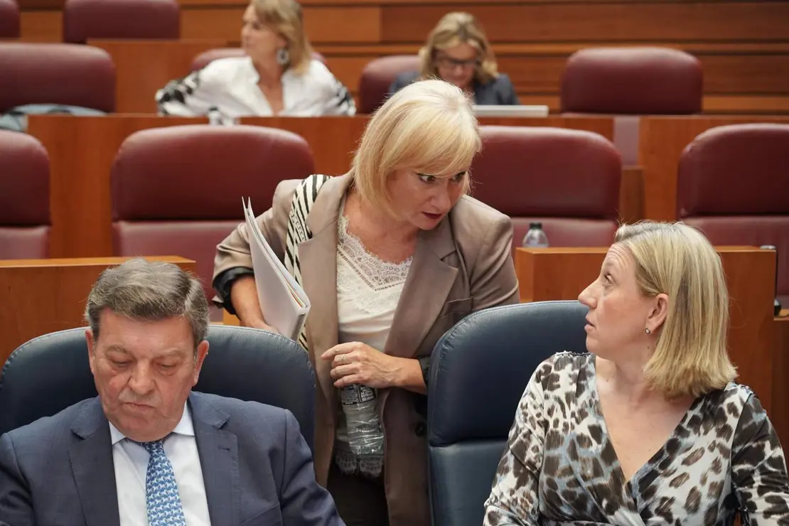 Pleno Cortes de Castilla y León (16)