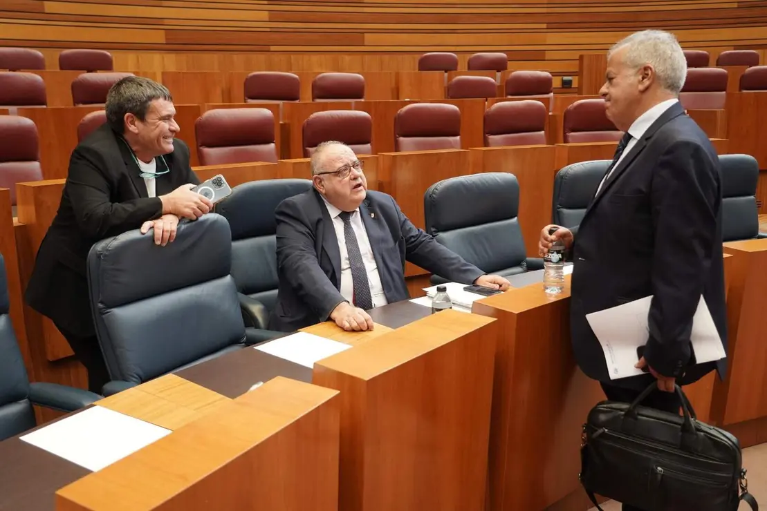 Pleno Cortes de Castilla y León (18)
