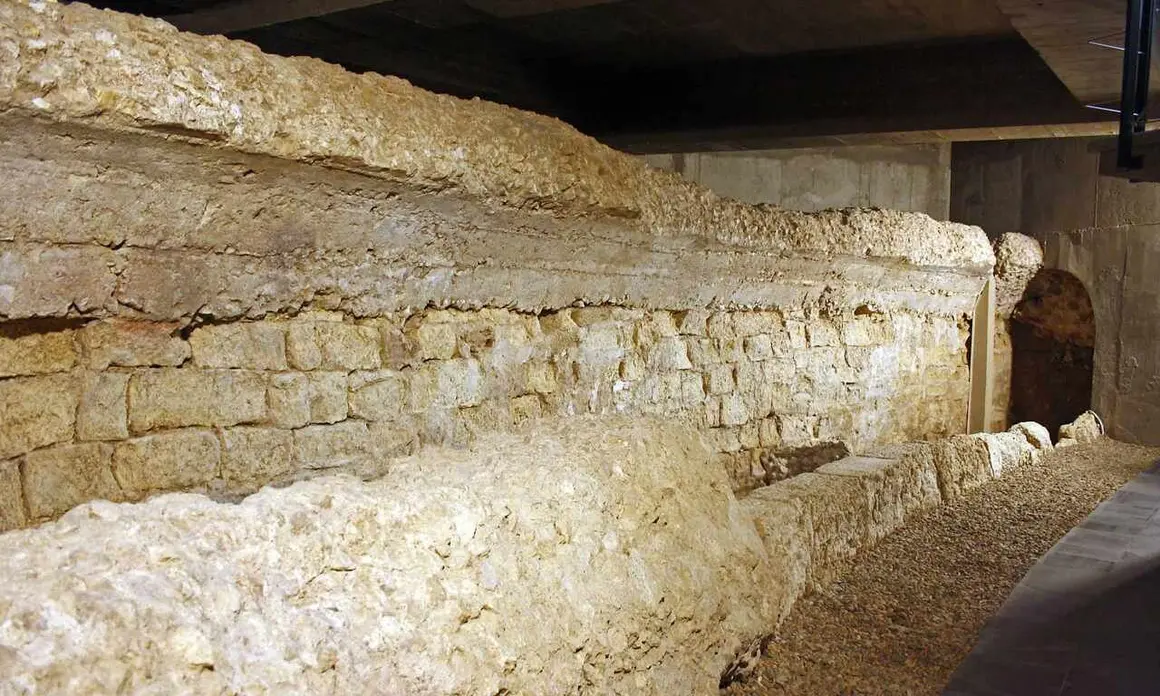 cripta 3
