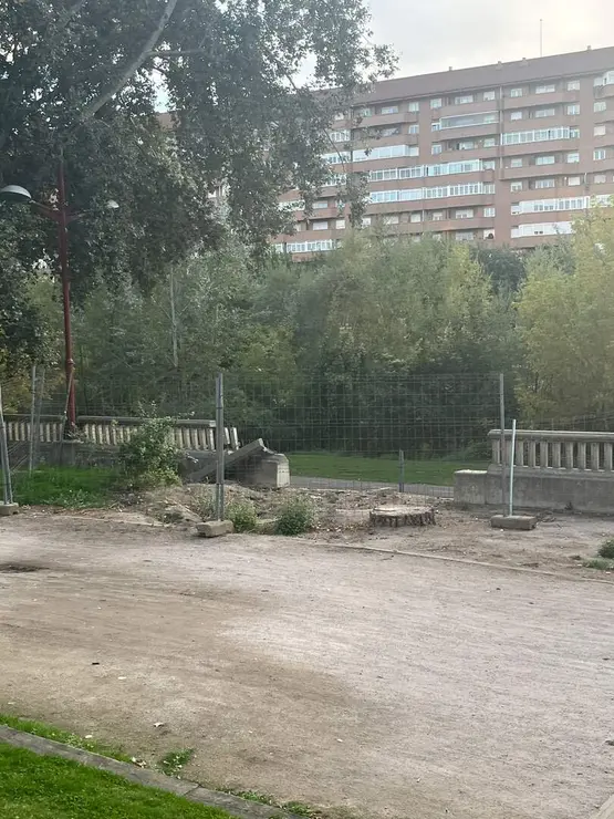 bernesga (2)